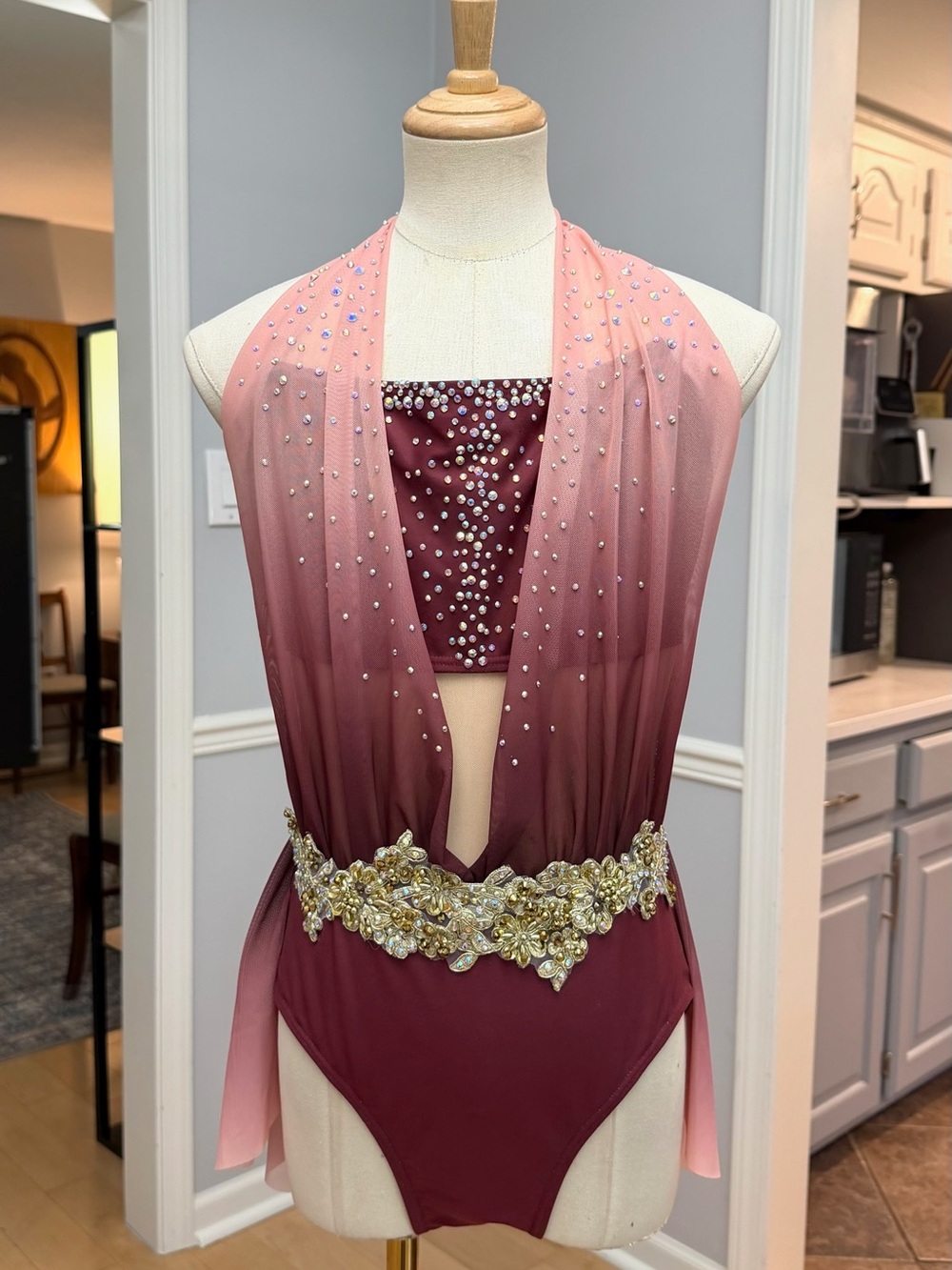 Burgundy Ombre lyrical costume AS